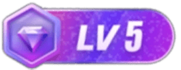 等级-LV5-云对勾